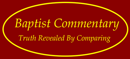 Visit Baptist Commentary